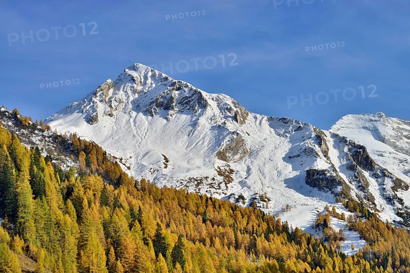 Schoberspitzen and Olperer from Toldern Ausblick