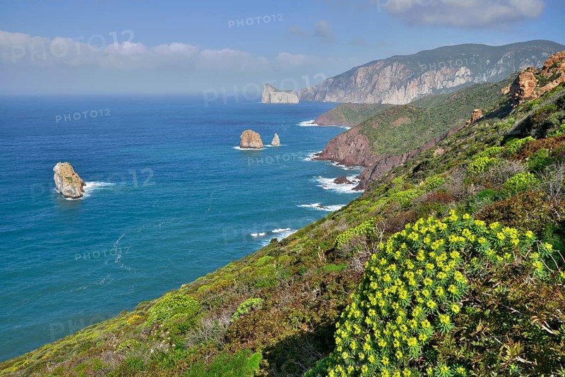 Coastline