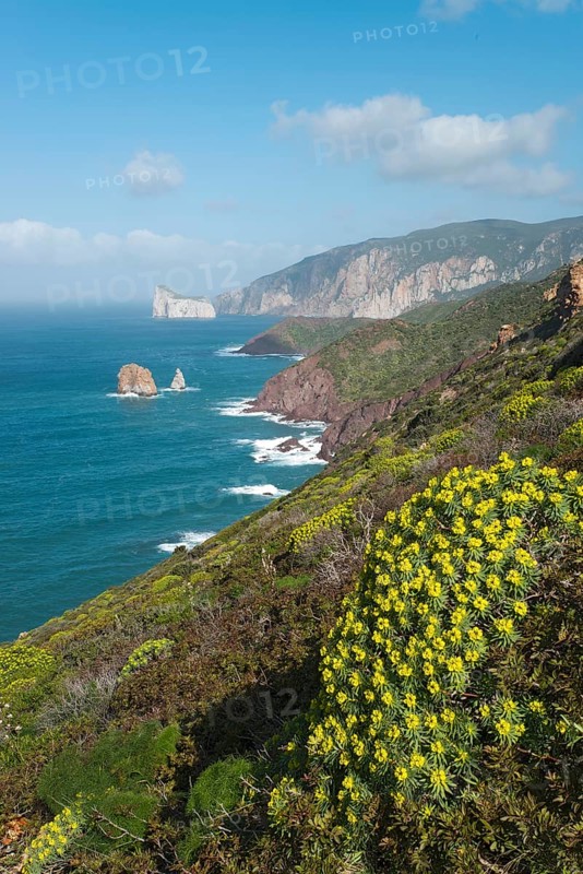 Coastline