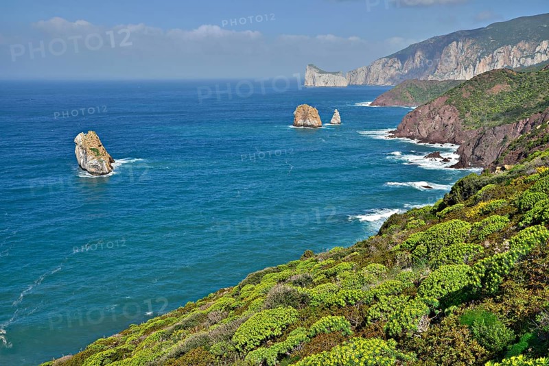 Coastline