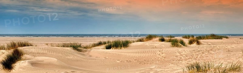 Sandy beach with dune grass