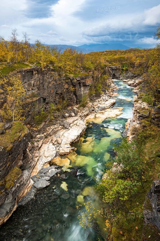 Autumn in Abisko canyon
