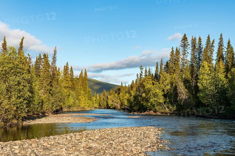 River landscape