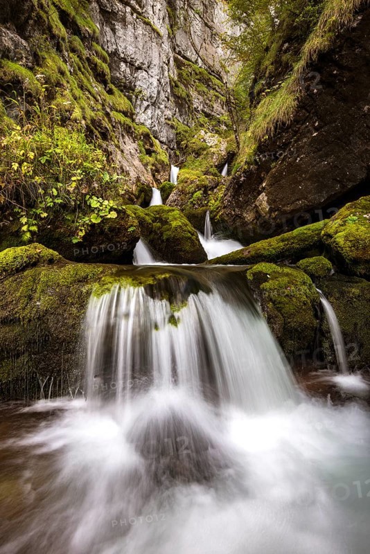 Forest stream in Hartelsgraben