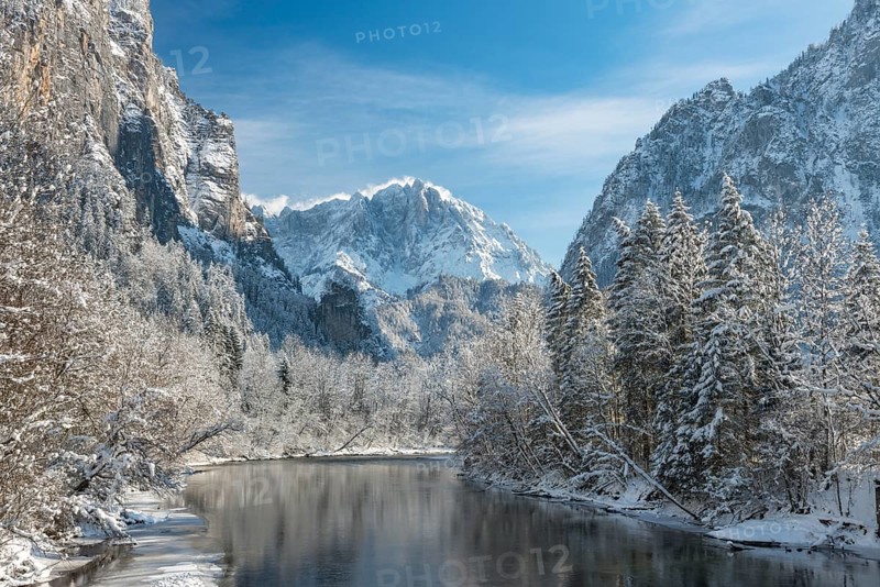 Winter landscape