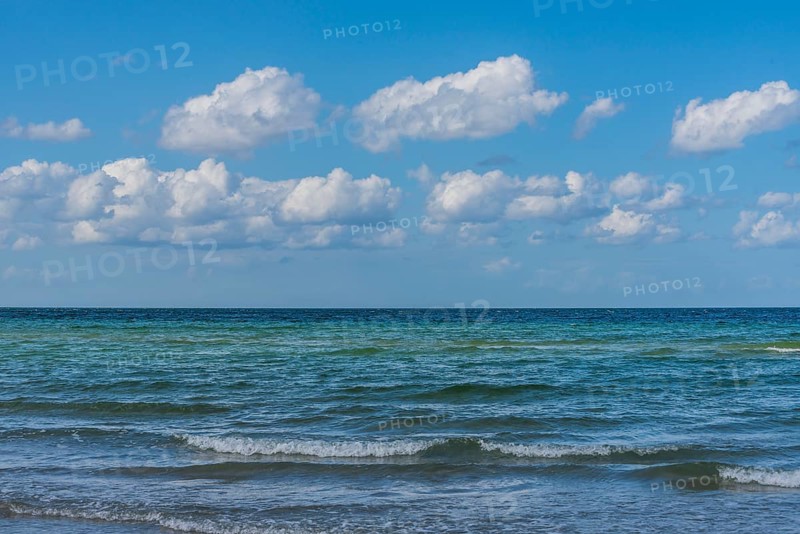 Waves on coast