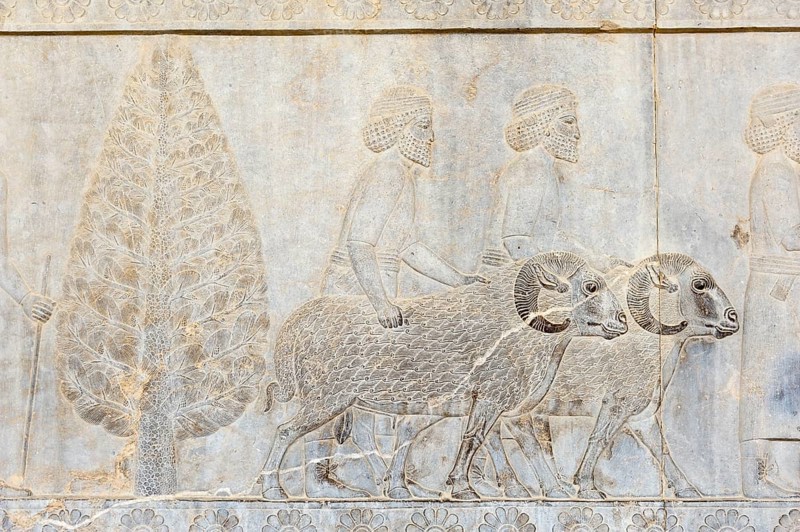 Ancient relief of the Achaemenids