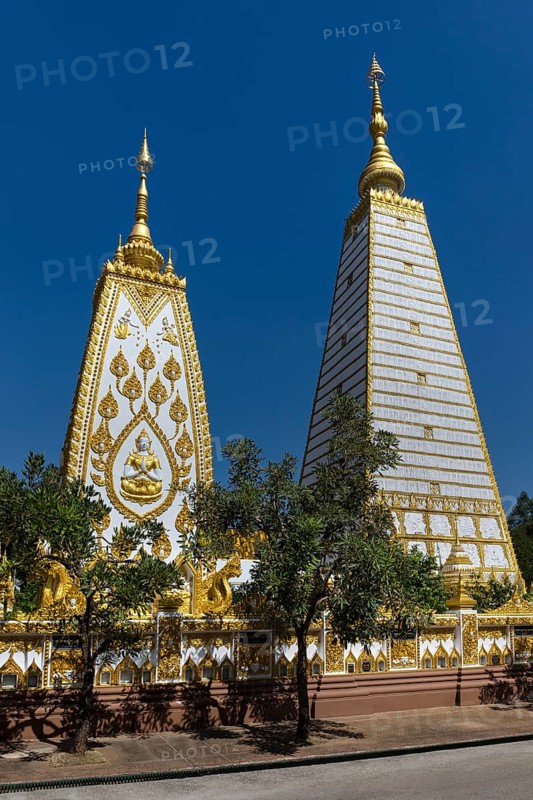Wat Phra That Nong Bua