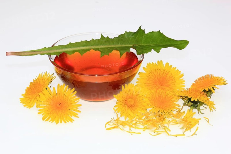Bowl of dandelion syrup