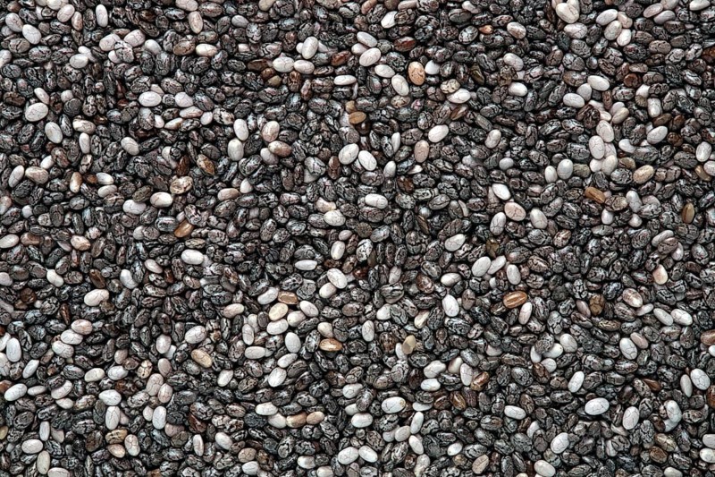 Chia seeds (Salvia hispanica)