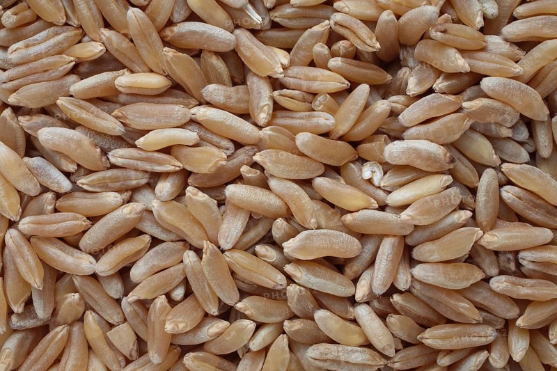 Ancient grain