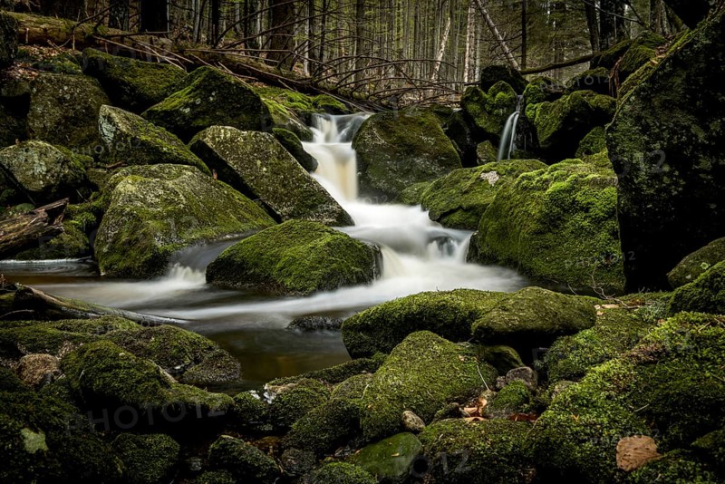 Mountain stream with mossy stones in mountain forest