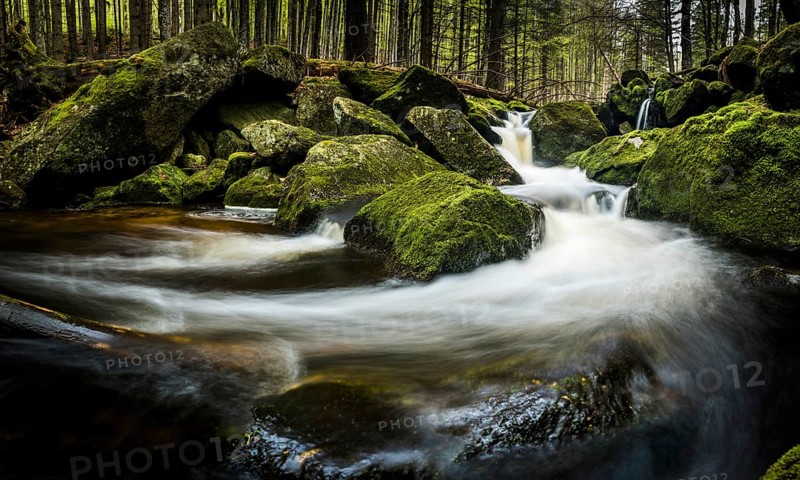 Mountain stream with mossy stones in mountain forest