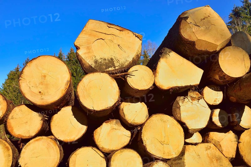 Stacked logs