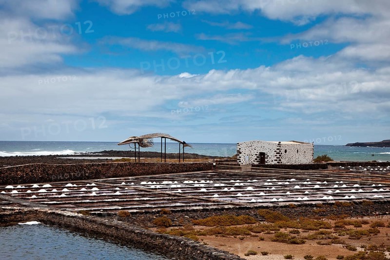 Salt Museum