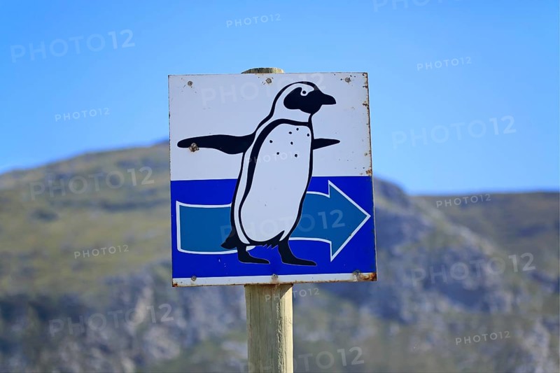 Signpost with penguin