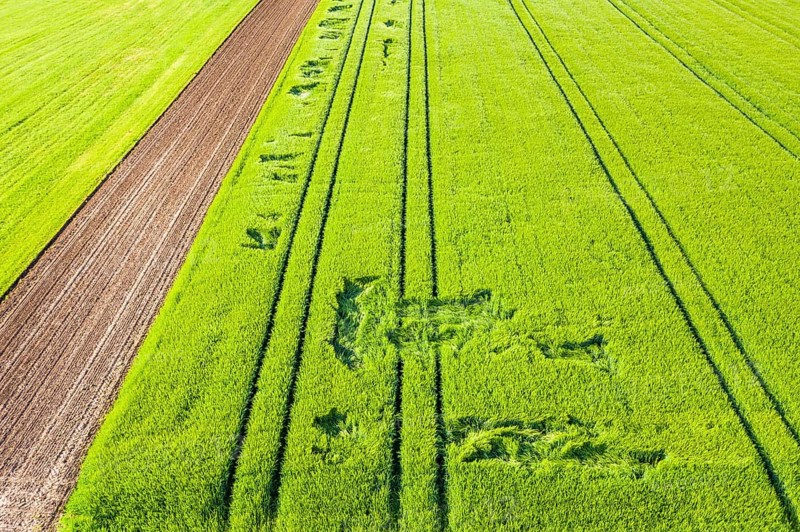 Drone shot