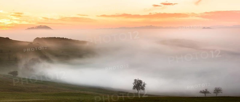 Foggy view of Bisberg