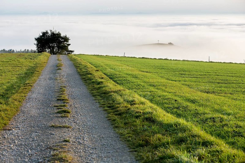 Foggy view of Bisberg with summit cross
