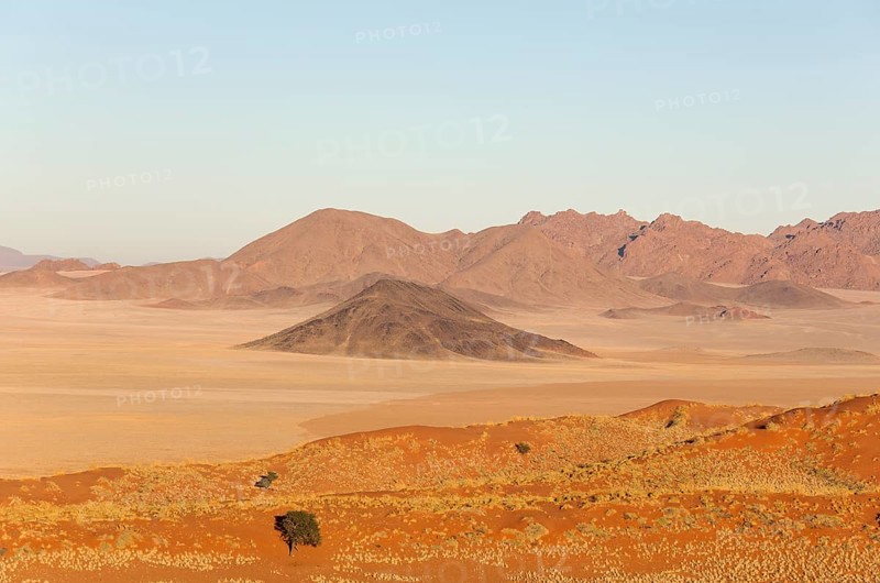Sand dunes covered with bushman grass (Stipagrostis sp.)