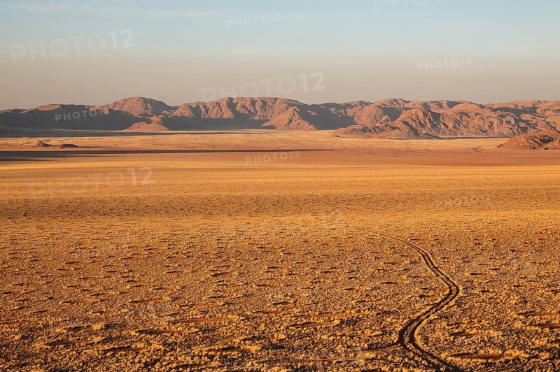 Grass covered desert plain at the edge of the Namib Desert