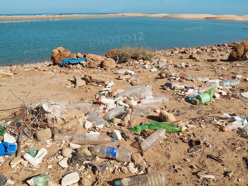 A polluted lagoon between Tan Tan and Tarfaya at the shore of the Atlantic Ocean in southwest Morocco