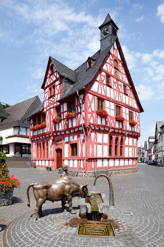 City Hall with Viehtranke fountain and Rhenser ox on the market square