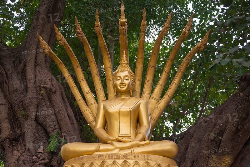 Buddha Statue