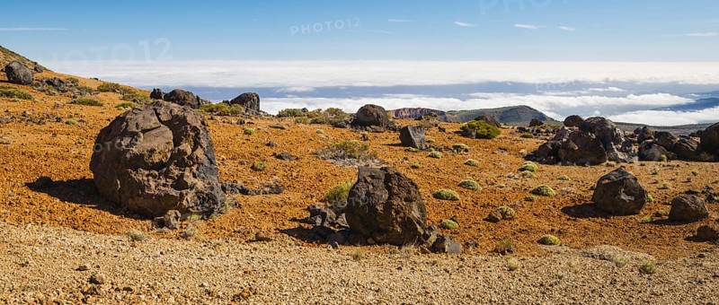 Huevos del Teide