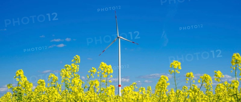 Windpark Tomerdingen