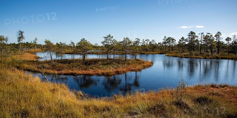 Wetland