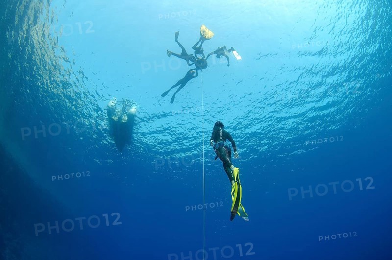 Freediving in Red Sea