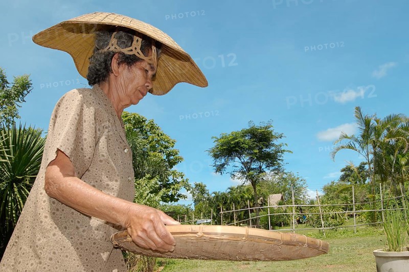 An elderly Thai woman cleaning rice grains