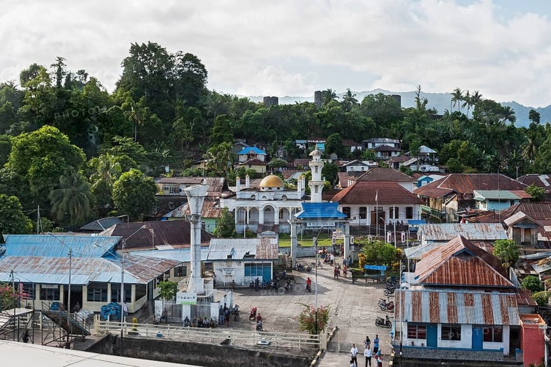 Bandaneira with mosque and Fort Belgica