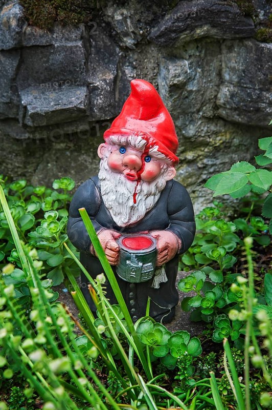 Garden gnome