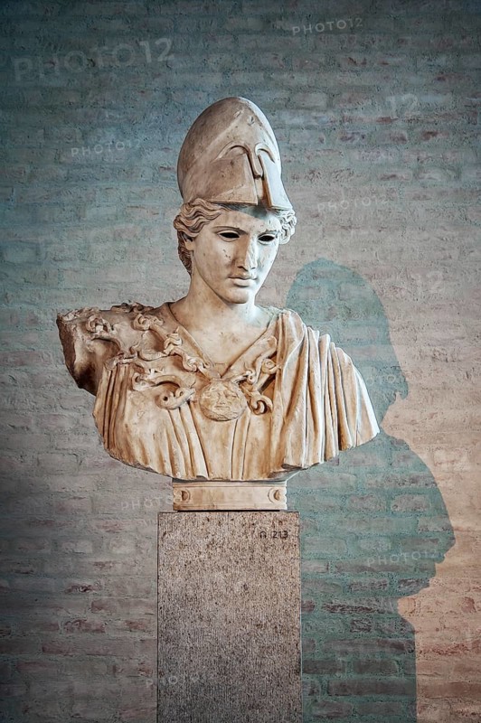 Bust of Athena