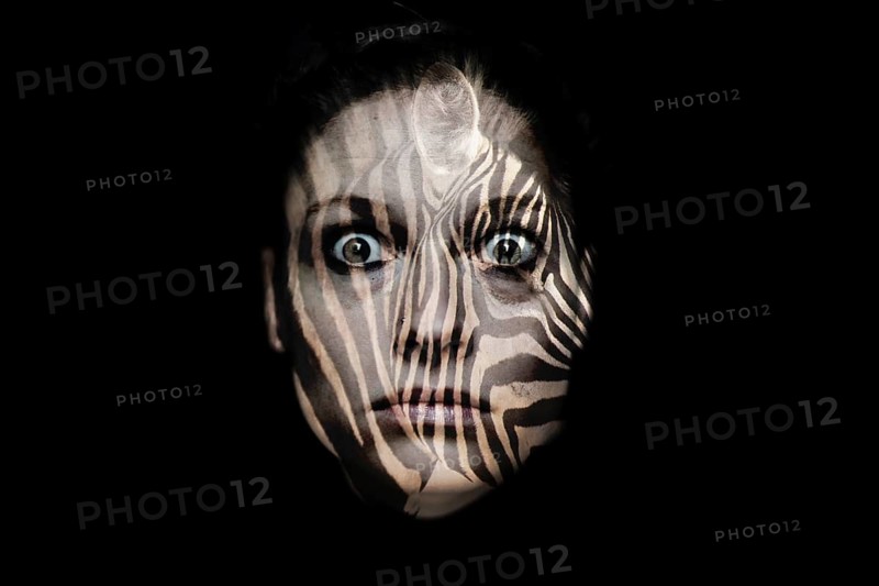Woman's head with zebra pattern