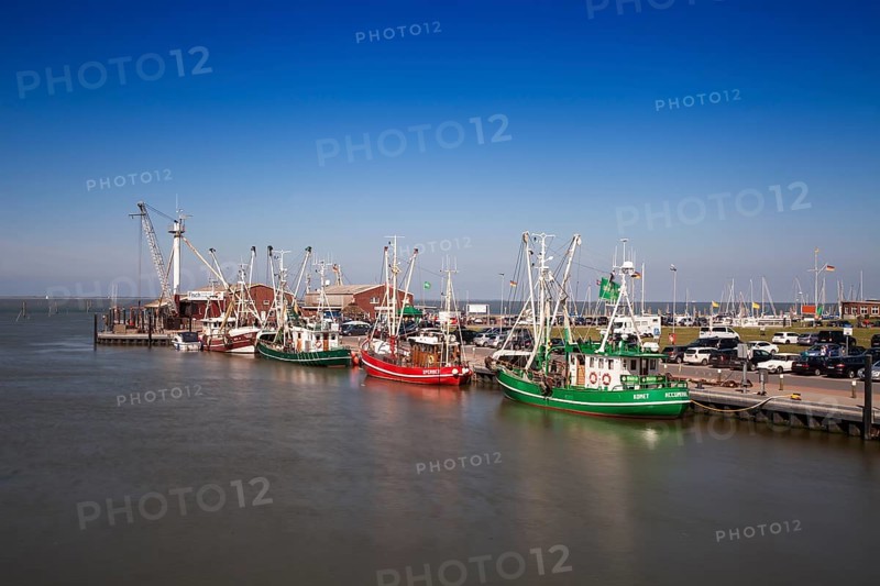 Shrimp boats in the port of Dornumersiel