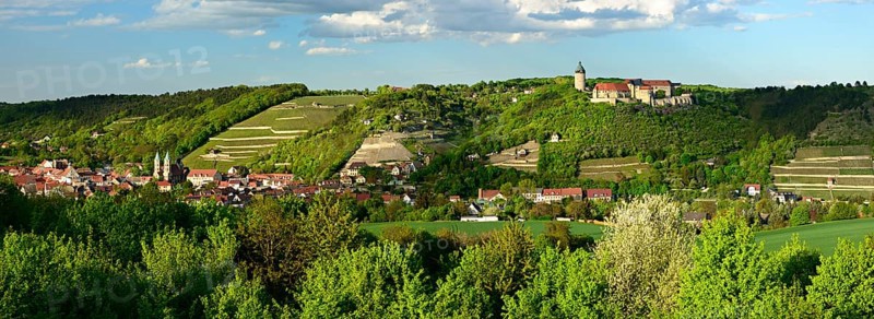 Panorama of Freyburg with Neuenburg Castle