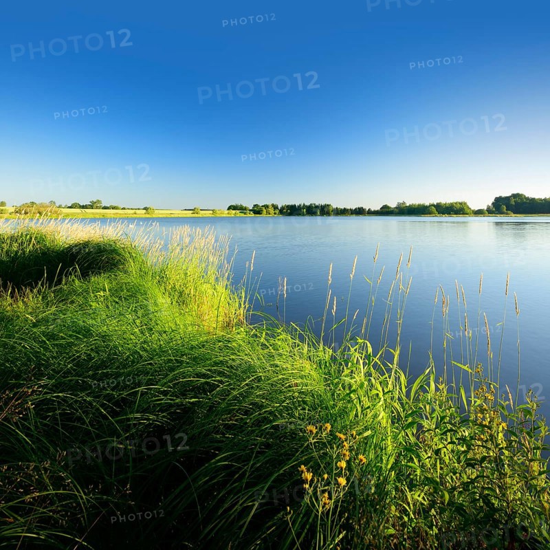 Neuer Teich pond in Plothen Ponds area