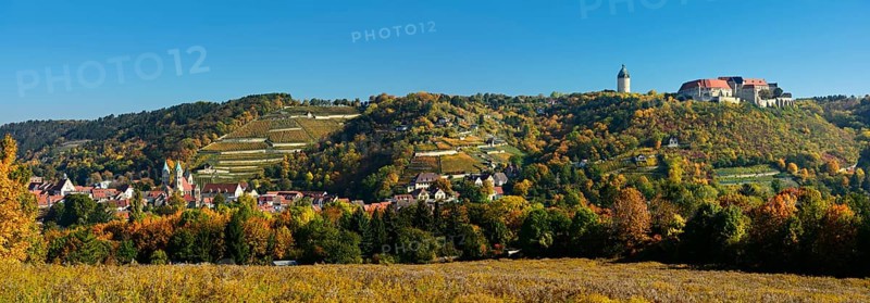Panorama view of Freyburg with Castle Neuenburg