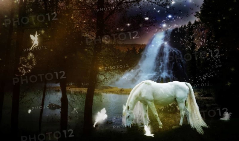 Fairyland