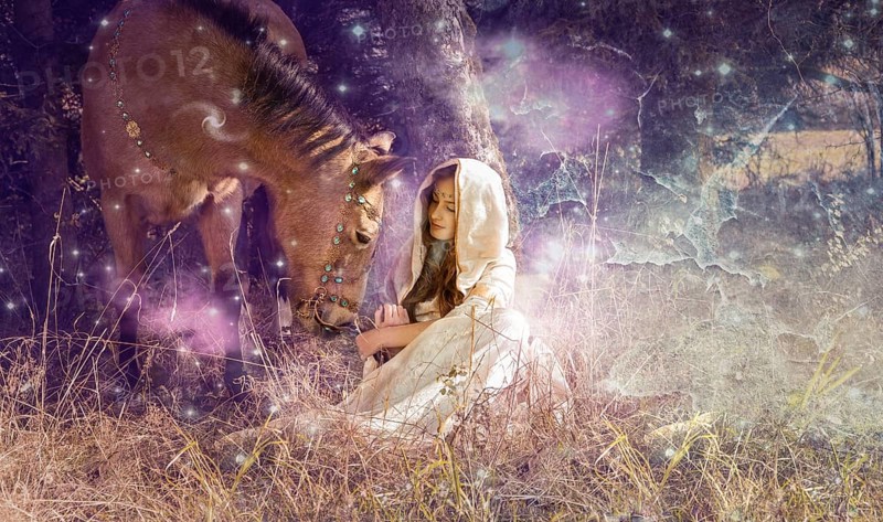 Fairy wood
