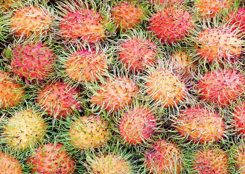Rambutans