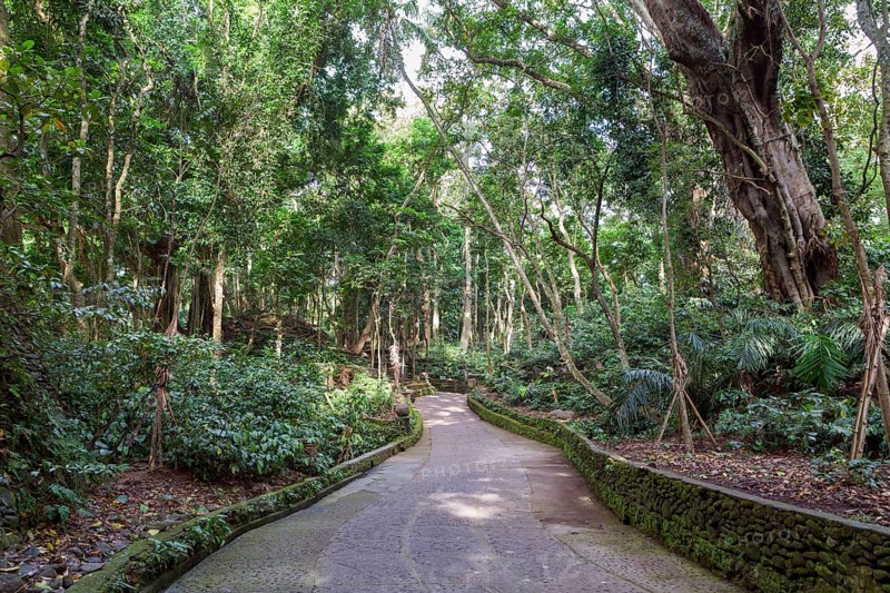 Pura Dalem Agung Padangtegal or Monkey Forest Temple