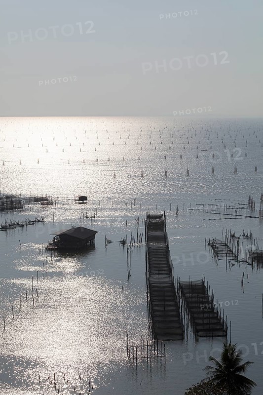 Fish farming