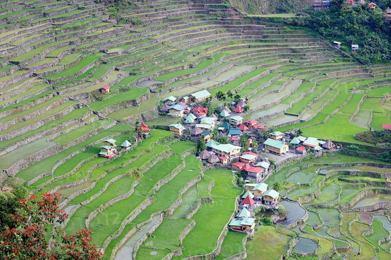Batad rice terraces