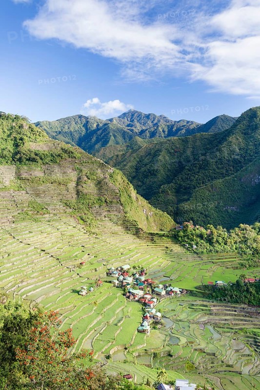 Batad rice terraces