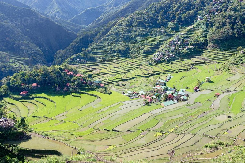 Batad rice terraces