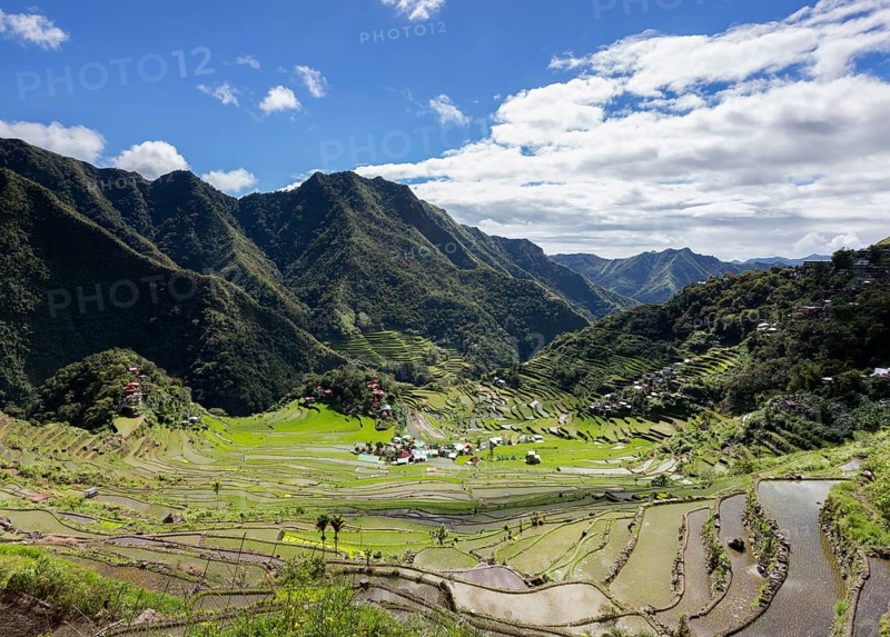 Batad rice terraces